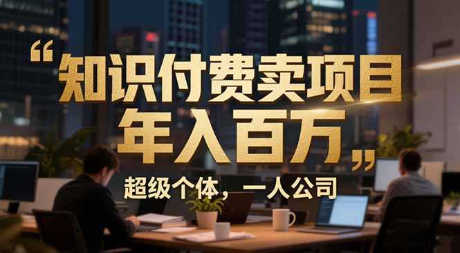 从0到年入百万：超级个体实战心得公开，个人IP×精准引流×成交系统全拆解-泱泱学习社