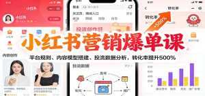 小红书营销爆单课：平台规则、内容模型搭建、投流数据分析，转化率提升500%-泱泱学习社