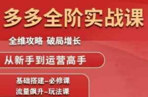 大炮·拼多多全阶实战课程(更新2026)-泱泱学习社