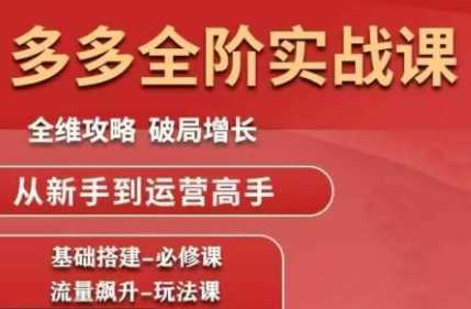 大炮·拼多多全阶实战课程(更新2026)-泱泱学习社