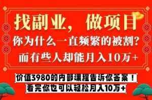 价值3980的网创内部课程，告诉你互联网创业月入10个W的秘密【揭秘】-泱泱学习社