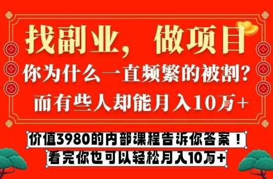 价值3980的网创内部课程，告诉你互联网创业月入10个W的秘密【揭秘】-泱泱学习社