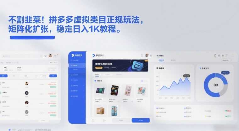 不割韭菜！拼多多虚拟类目正规玩法，矩阵化扩张，稳定日入1K教程【揭秘】-泱泱学习社