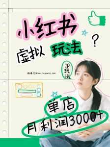 小红书虚拟玩法(铺货流和单品玩法)，单店月利润3000+，IP打法+原创商品(0违规)-泱泱学习社