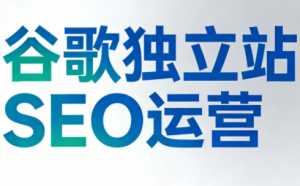 谷歌独立站SEO运营(更新2026)-泱泱学习社