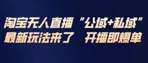 淘宝无人直播最新玩法，包含私域和公域两种玩法-泱泱学习社