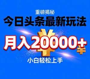 今日头条代运营最新玩法，轻轻松松月入20000＋-泱泱学习社