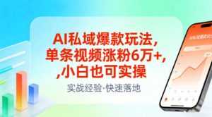 AI私域爆款玩法，单条视频涨粉6W+，小白也可实操-泱泱学习社