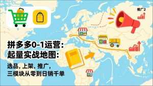 拼多多0-1运营：起量实战地图：选品，上架，推广，三模块从零到日销千单-泱泱学习社