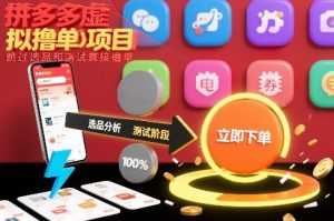 拼多多虚拟撸单项目，跳过选品和测试直接撸单-泱泱学习社