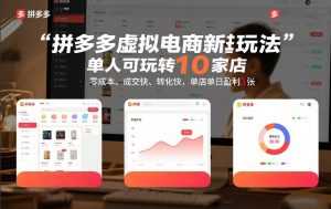 拼多多虚拟电商新玩法，单人可玩转10家店，零成本、成交快、转化快，单店单日盈利3张【揭秘】-泱泱学习社