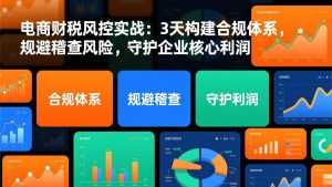 电商财税风控实战：3天构建合规体系，规避稽查风险，守护企业核心利润-泱泱学习社