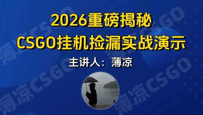 CSGO游戏挂机游戏搬砖最新升级，普通小白一部手机可日入300+当天见结果，支持验证-泱泱学习社