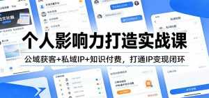 个人影响力打造实战课：公域获客+私域IP+知识付费，打通IP变现闭环-泱泱学习社