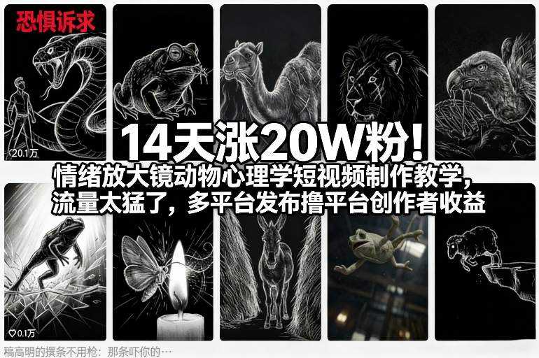 14天涨20W粉！情绪放大镜动物心理学短视频制作教学，流量太猛了，多平台发布撸平台创作者收益-泱泱学习社