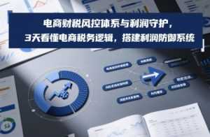 电商财税风控体系与利润守护，3天看懂电商税务逻辑，搭建利润防御系统-泱泱学习社