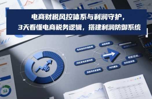 电商财税风控体系与利润守护，3天看懂电商税务逻辑，搭建利润防御系统-泱泱学习社