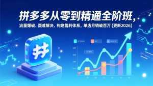 拼多多从零到精通全阶班，流量爆破、疑难解决，构建盈利体系，单店月销破百万(更新2026-泱泱学习社