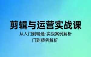 林大·剪辑与运营实战课(更新2026)-泱泱学习社