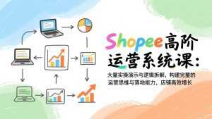 Shopee高阶运营系统课：大量实操演示与逻辑拆解，构建完整的运营思维与落地能力，店铺高效增长-泱泱学习社