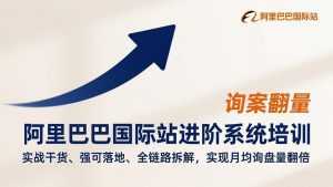 阿里巴巴国际站进阶系统培训，实战干货、强可落地、全链路拆解，实现月均询盘量翻倍-泱泱学习社