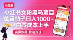 小红书女粉黑马项目，单篇帖子日入1k+，小白零成本上手-泱泱学习社