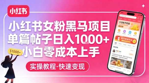 小红书女粉黑马项目，单篇帖子日入1k+，小白零成本上手-泱泱学习社