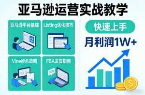 亚马逊运营实战教学，亚马逊平台+Listing优化+Vine秒杀+FBA发货等，快速上手，实现店铺月利润1W-泱泱学习社