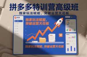 拼多多特训营高阶班，独家玩法赋能，突破运营天花板(更新26年2月)-泱泱学习社