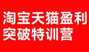 玺承·淘宝天猫盈利突破特训营(25年12月线下课)【音频+字幕】-泱泱学习社