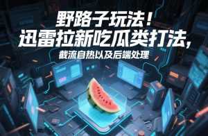 野路子玩法！迅雷拉新吃瓜类打法，截流自热以及后端处理-泱泱学习社