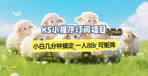 【新一期】小程序订阅_小白几分钟70-80r，可矩阵(已测到账)-泱泱学习社