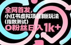全网首发，小红书虚拟项目新玩法(指数测试)，0粉丝日入1k+，整个玩法完整拆解！-泱泱学习社