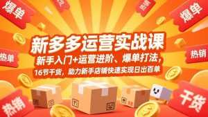 拼多多运营实战课，新手入门+运营进阶、爆单打法，16节干货，助力新手店铺快速实现日出百单-泱泱学习社