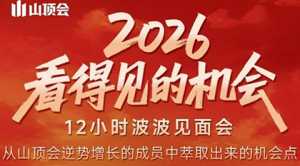 波波·2026看得见的机会12小时波波见面会(东莞线下课2月1日)-泱泱学习社