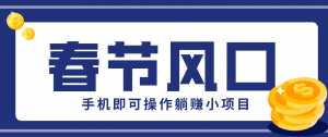快手极速版春节推广风口，一部手机就能上手，拉新20元/人平台助力躺赚小项目-泱泱学习社