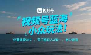 视频号蓝海小众玩法！外面收费399，零门槛日入3张+，老少皆宜-泱泱学习社