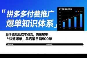 拼多多付费推广爆单知识体系，新手也能低成本引流，快速爆单，单店铺日销500单-泱泱学习社