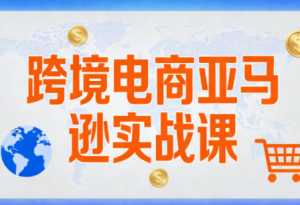 丝丝老师·跨境电商亚马逊实战课(更新2月)-泱泱学习社