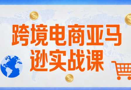 丝丝老师·跨境电商亚马逊实战课(更新2月)-泱泱学习社