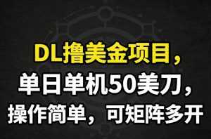 DL撸美金项目，单日单机50美刀，操作简单，可矩阵多开-泱泱学习社
