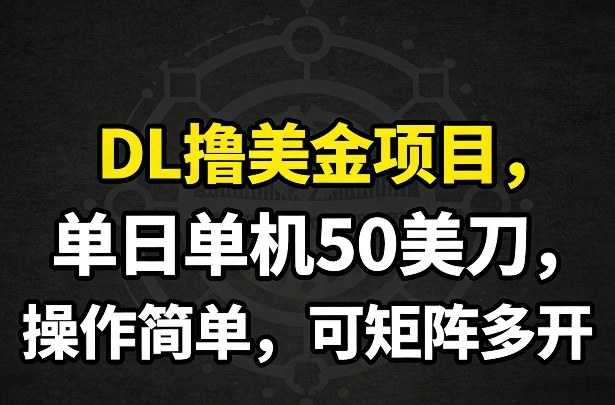 DL撸美金项目，单日单机50美刀，操作简单，可矩阵多开-泱泱学习社