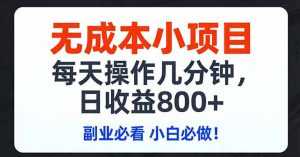 无成本小项目,每天操作几分钟,日收益800+ 副业必看 小白必做！-泱泱学习社