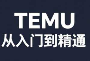跨境麦冬·TEMU从入门到精通-泱泱学习社