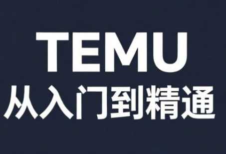 跨境麦冬·TEMU从入门到精通-泱泱学习社