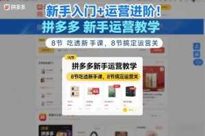 新手入门+运营进阶！拼多多新手运营教学，8节吃透新手课，8节搞定运营关-泱泱学习社