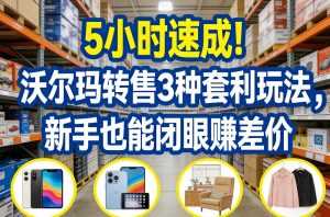 5小时速成！沃尔玛转售3种套利玩法，新手也能闭眼賺差价-泱泱学习社