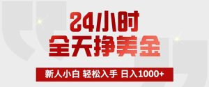 24小时全天挣美金，新人小白轻松入手，长期稳定，日入1000+-泱泱学习社
