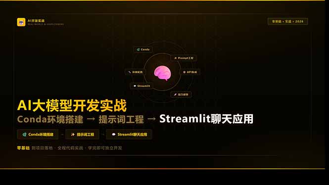 AI大模型开发实战：Conda环境搭建→提示词工程→Streamlit聊天应用，零基础到项目落地-泱泱学习社