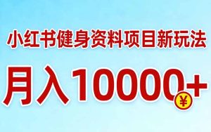 小红书健身资料项目最新玩法，月入10000＋，收益潜力可以无限放大-泱泱学习社